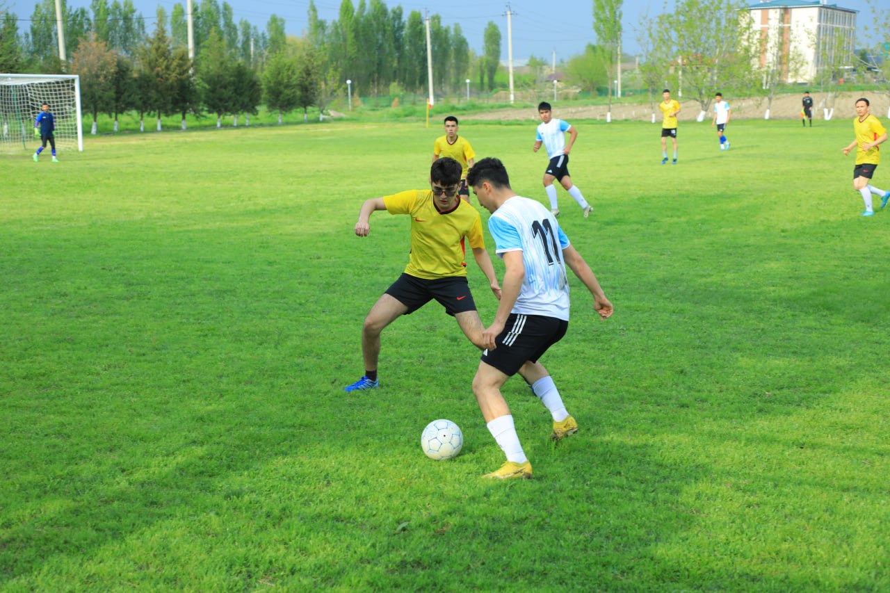 Qo'shimcha rasm 3